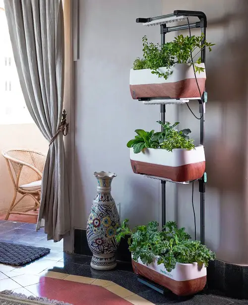 Modern Tiered Planter Stand vertical garden