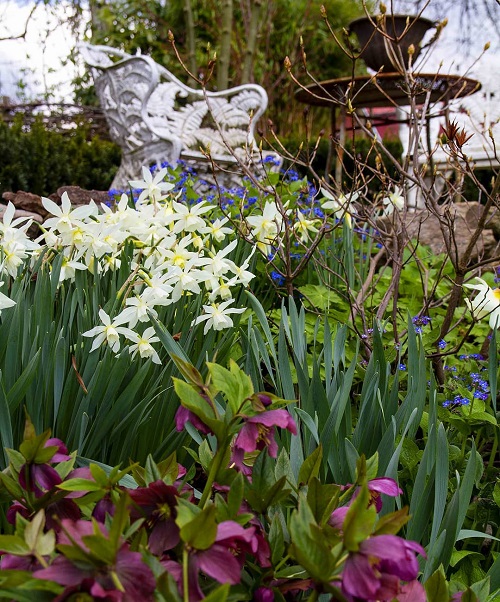 Flowers For Herb Garden 2