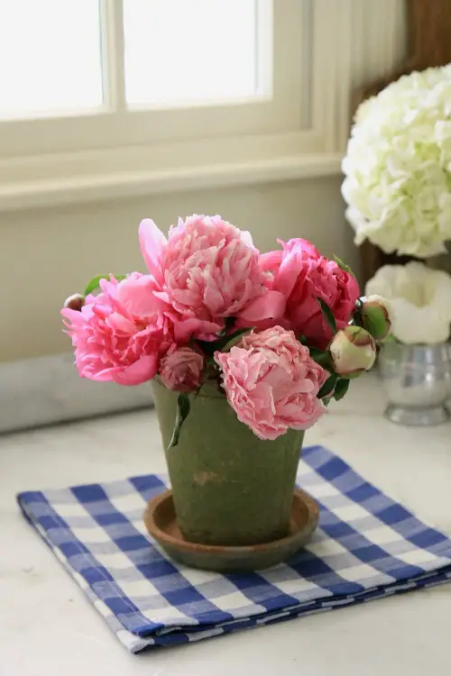Occasions for Gifting Pink Carnations