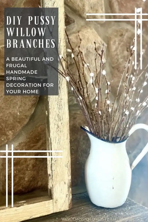 Use them to Create Beautiful Snaps!