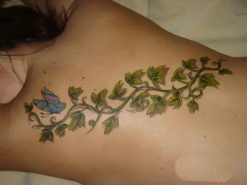 Poison Ivy and Butterfly on Back