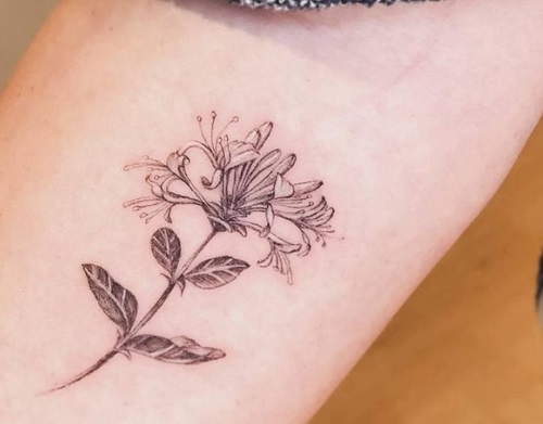 Pretty Little Honeysuckle Tattoo23