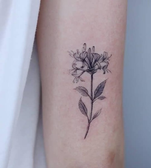 Honeysuckle Flower Tattoo Meaning and Ideas