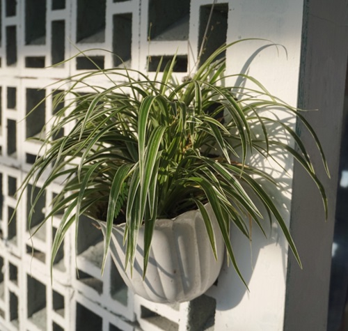 Chic Outdoor Wall Decor