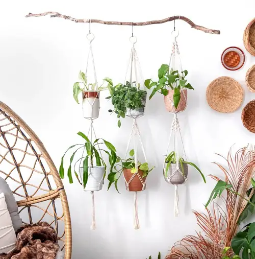 best Ways to Create a Vertical Garden Indoors 
