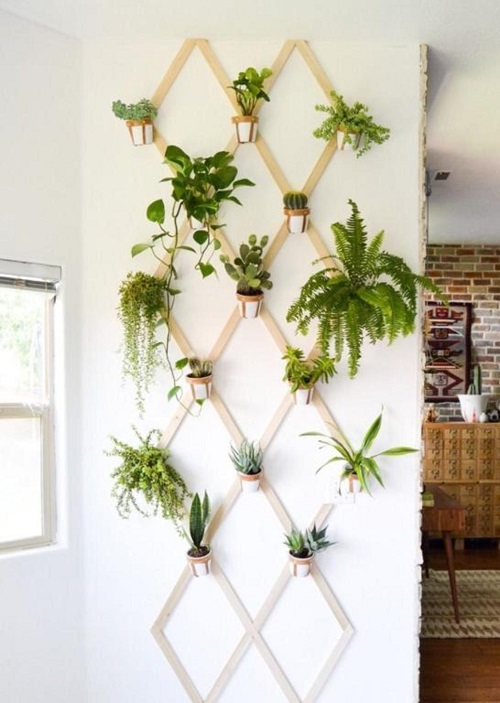 Try a vertical garden Wall Lattice