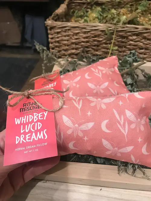 Tuck Away a Dream Diary Under Your Pillow 9