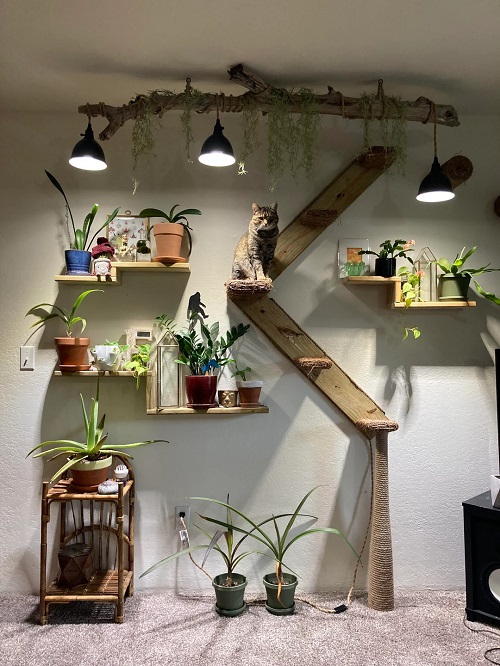 Vertical Tower with Hydroponics