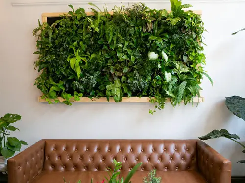 Vertical Wall Garden in Wood Frame