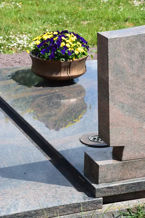 Violet Flowers for Graves