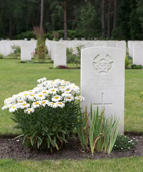 Daisy Flowers for Graves