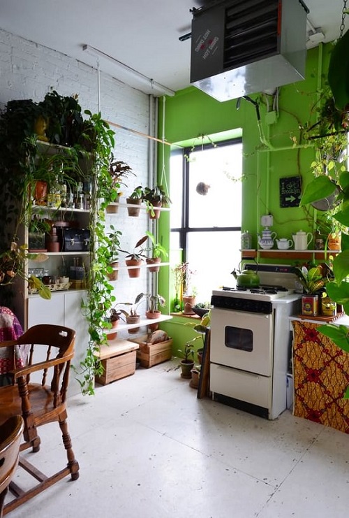 Kitchen Garden: Fresh Air with Fresh Produce!