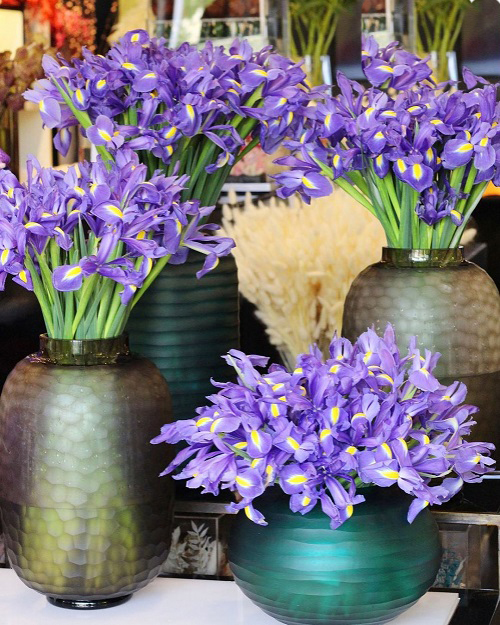best Long-lasting Flowers 