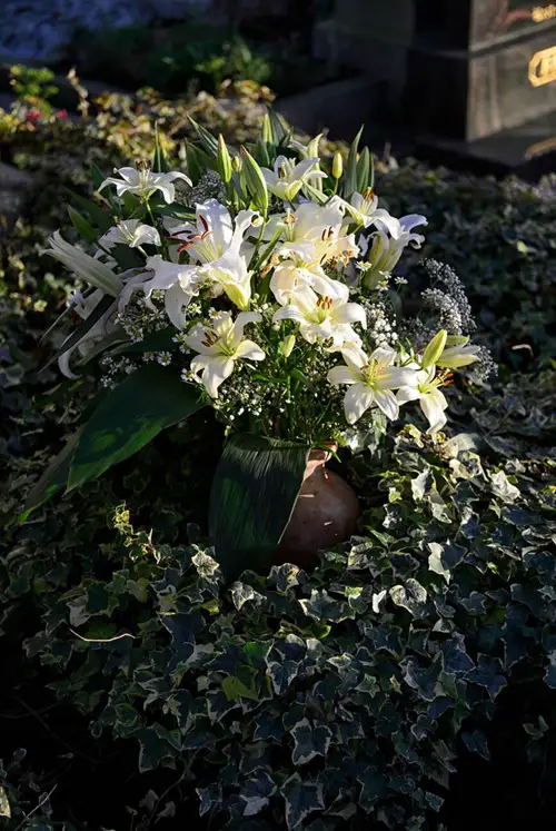 Lilies Flowers for Graves