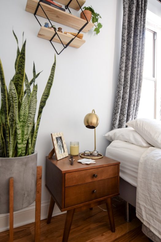 snake plant By the Bedside
