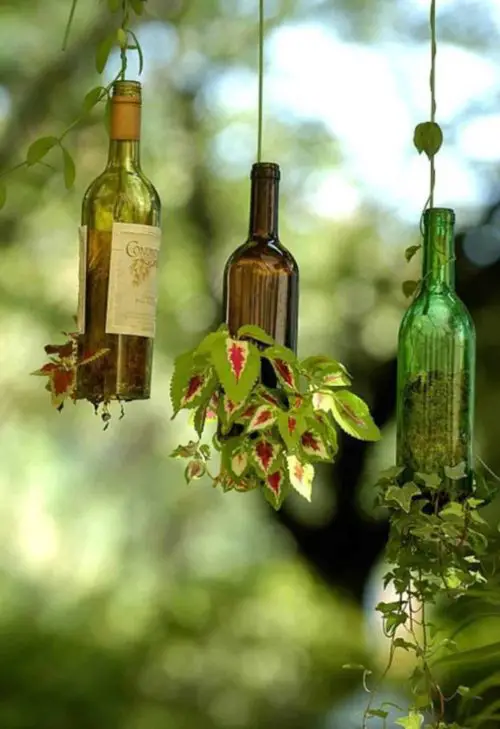 Wine Bottle Hangers