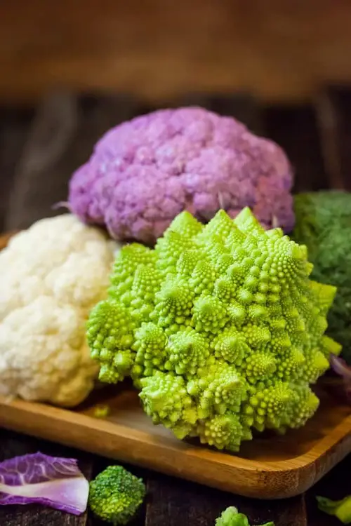 Vegetables start with "B"