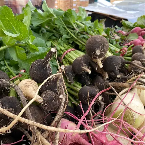 best Vegetables Beginning with "B"