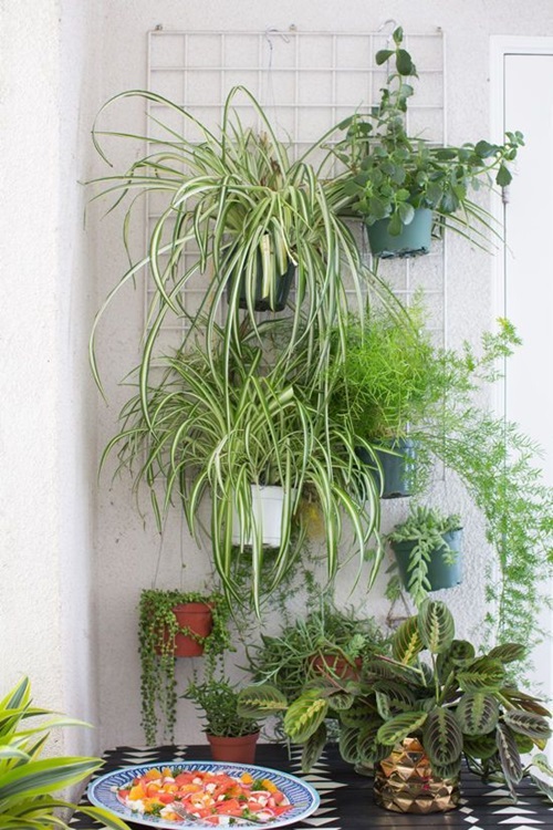 Hang Them on a Metal Wall Trellis