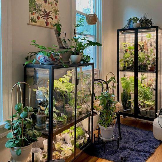 Repurpose an Old Glass Cupboard