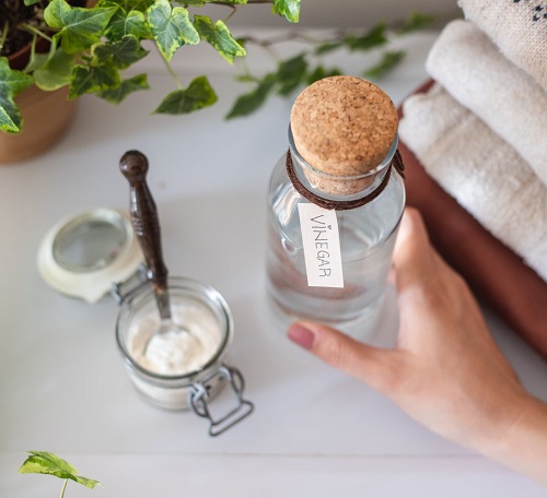 Effective Vinegar Pest Control Recipes