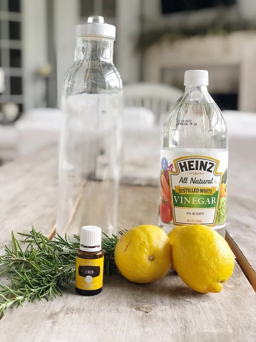 best Super Effective Vinegar Pest Control Recipes
