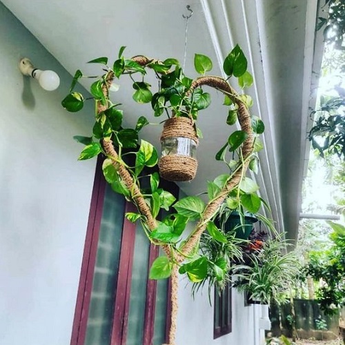 Heart-Shaped Pothos Wreath