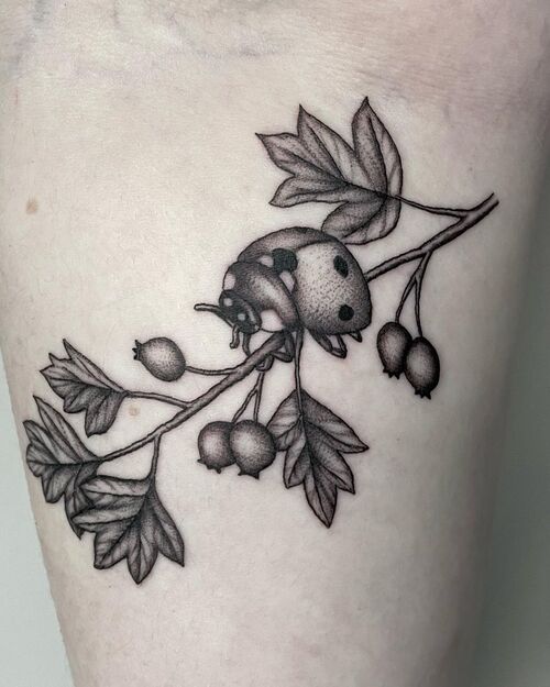 Ladybug on a Hawthorne Branch Tattoo