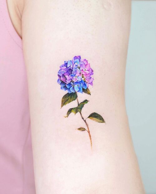 Watercolor Hydrangea Tattoo