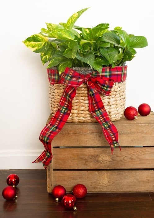 Wrap a Ribbon