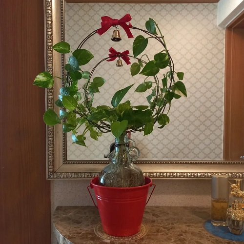 Tabletop Wreath with Pothos