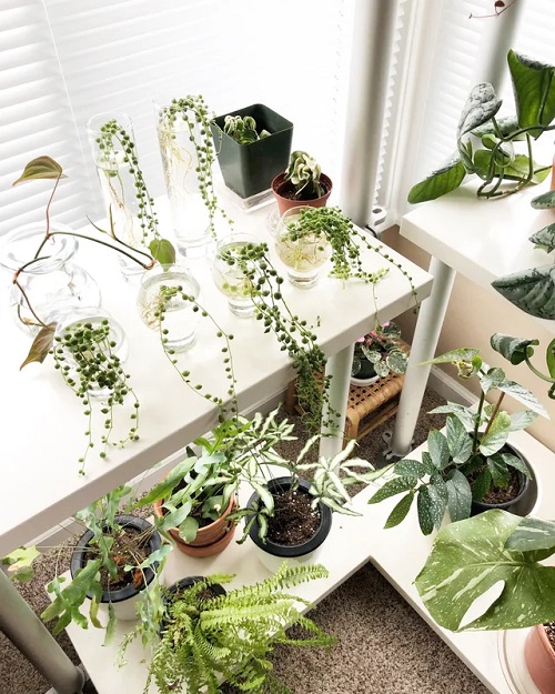 Indoor Window Propagation Station on a Stand