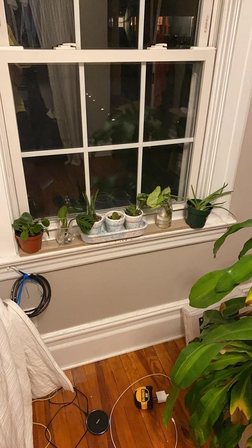 Windowsill Propagation Station Idea