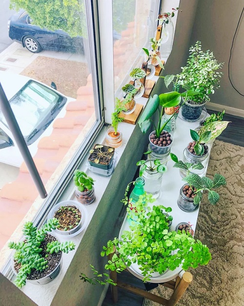 Propagation Station on Stand and Windowsill