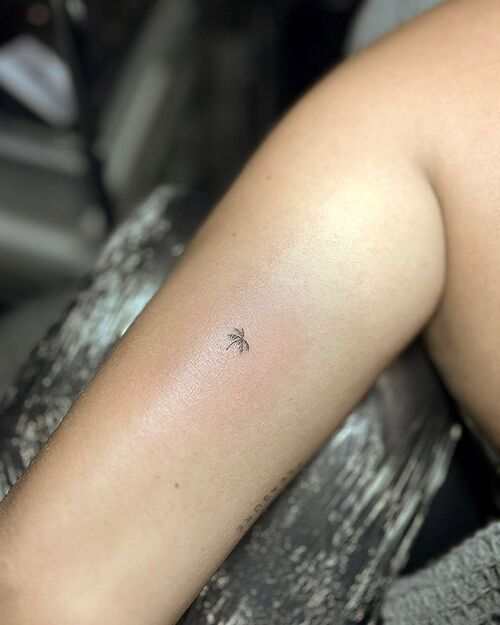Cute Little Palm Tree tattoo