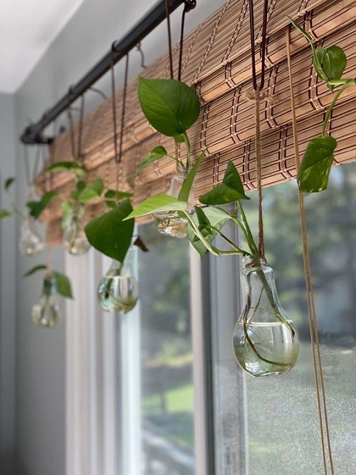 Indoor Window Propagation Station Ideas