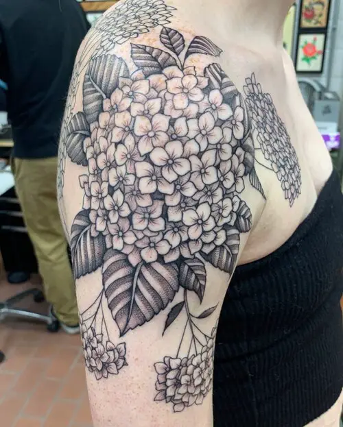 Big Hydrangea Shoulder Ink ideas