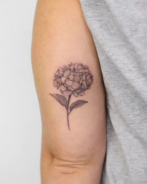 Cute Little Hydrangea tattoo ideas