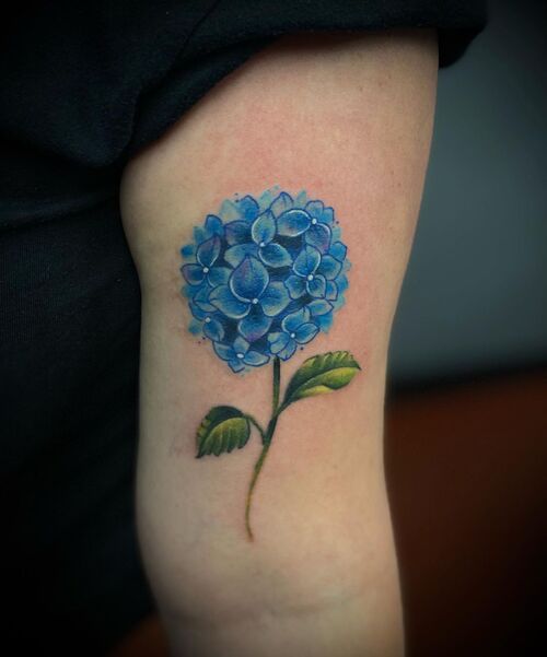 Blue Hydrangea with White Highlights
