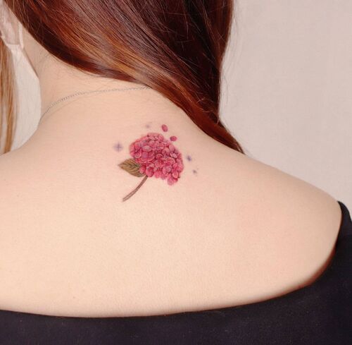 Pink Hydrangea on the Back
