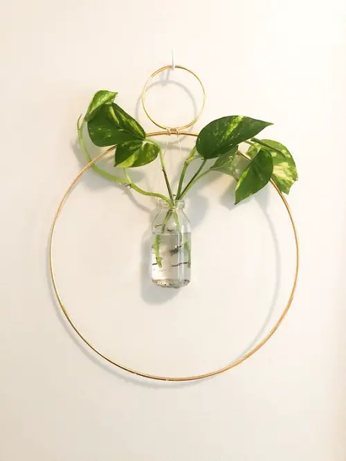 Pothos Wreath Propagation Station
