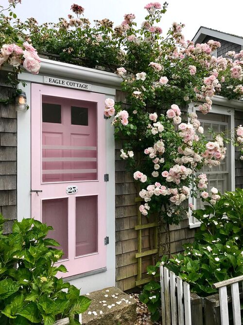 Climbing Rose Garden Home Entrance 5