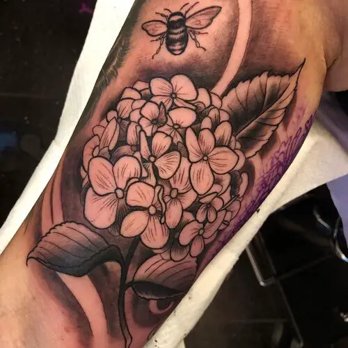 Dark Hydrangea with Bee