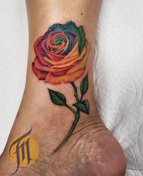 No Outline Rose