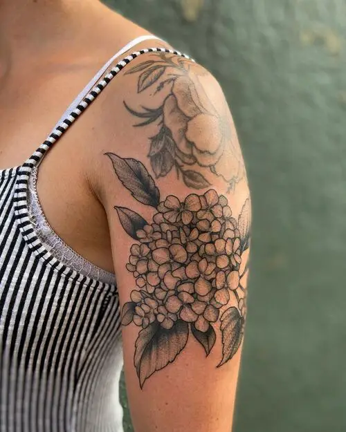 Hydrangea Flower Tattoo on Shoulder