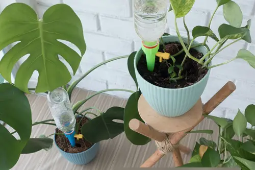 Gardening Tools for Seniors in home