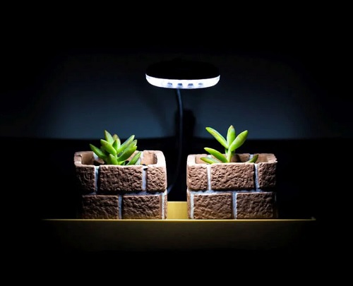 Consider Artificial Lights