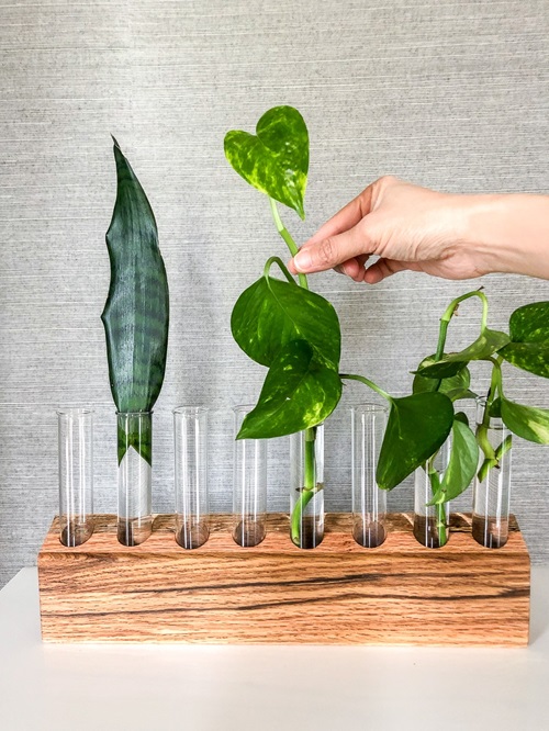 Indoor Window Propagation Station Ideas