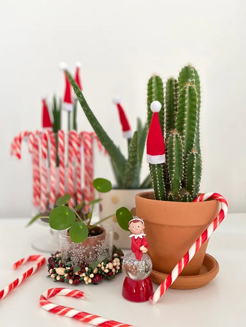 Hang Candy Canes