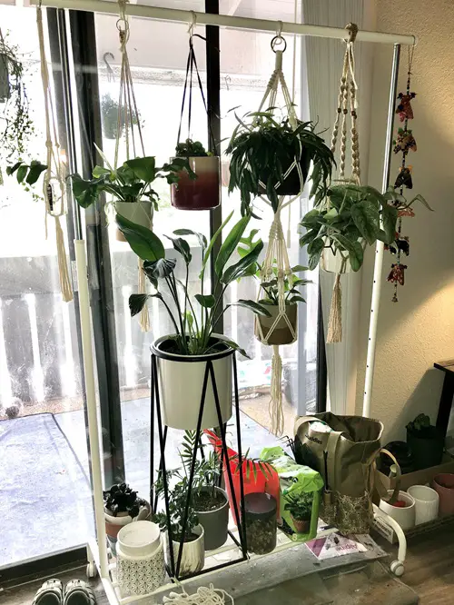 DIY Hanging $12 Ikea Rack Plant Stand 9